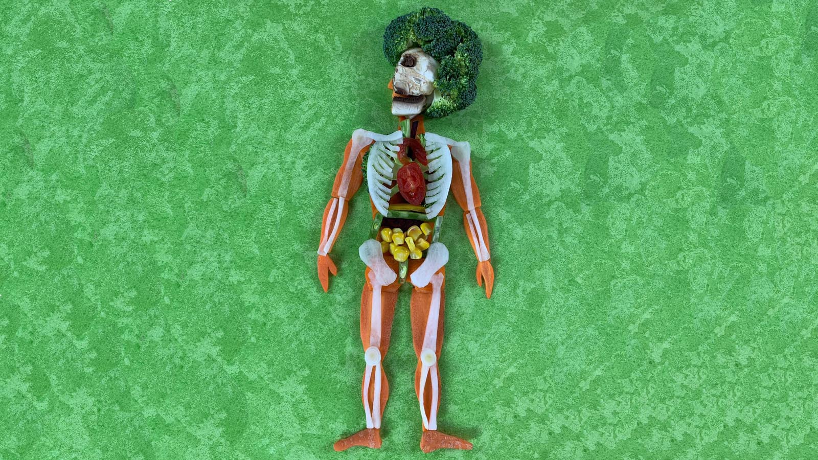 Göttinger Medizinstudierende bastelten die komplette menschliche Anatomie aus Gemüse nach.