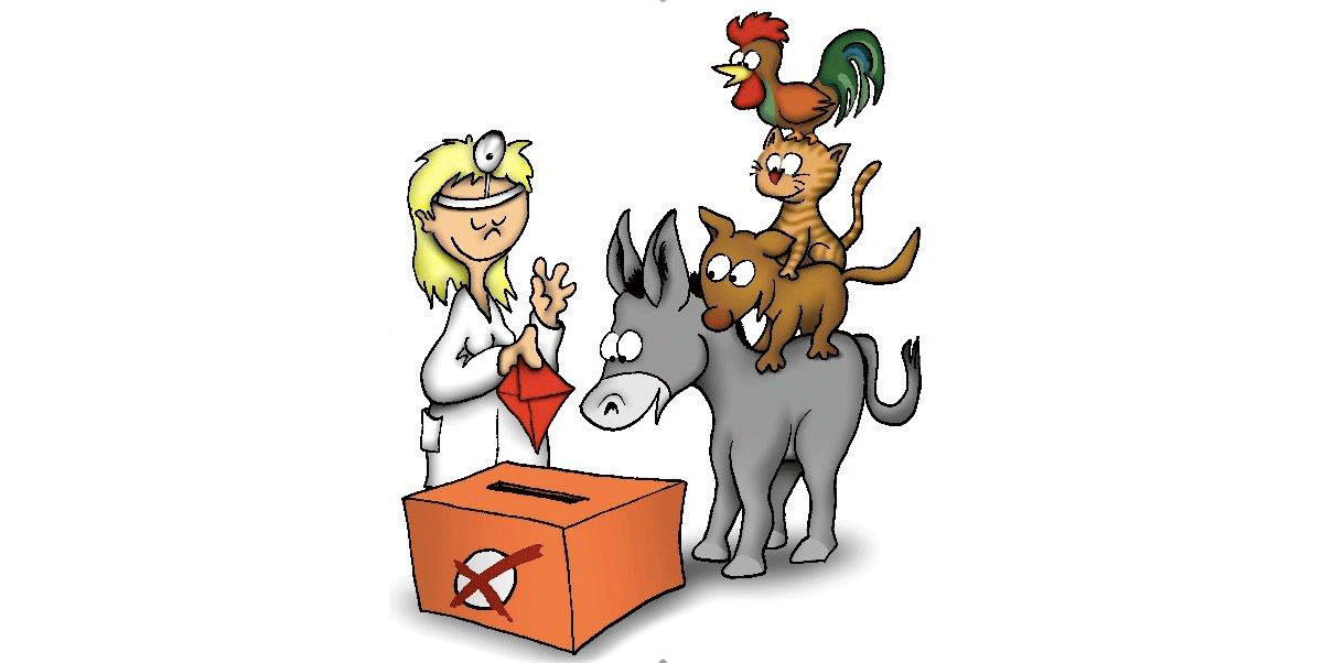 Kammerwahl Bremen 2019, Cartoon: OLAF Kammerwahl Bremen 2019, Cartoon: OLAF