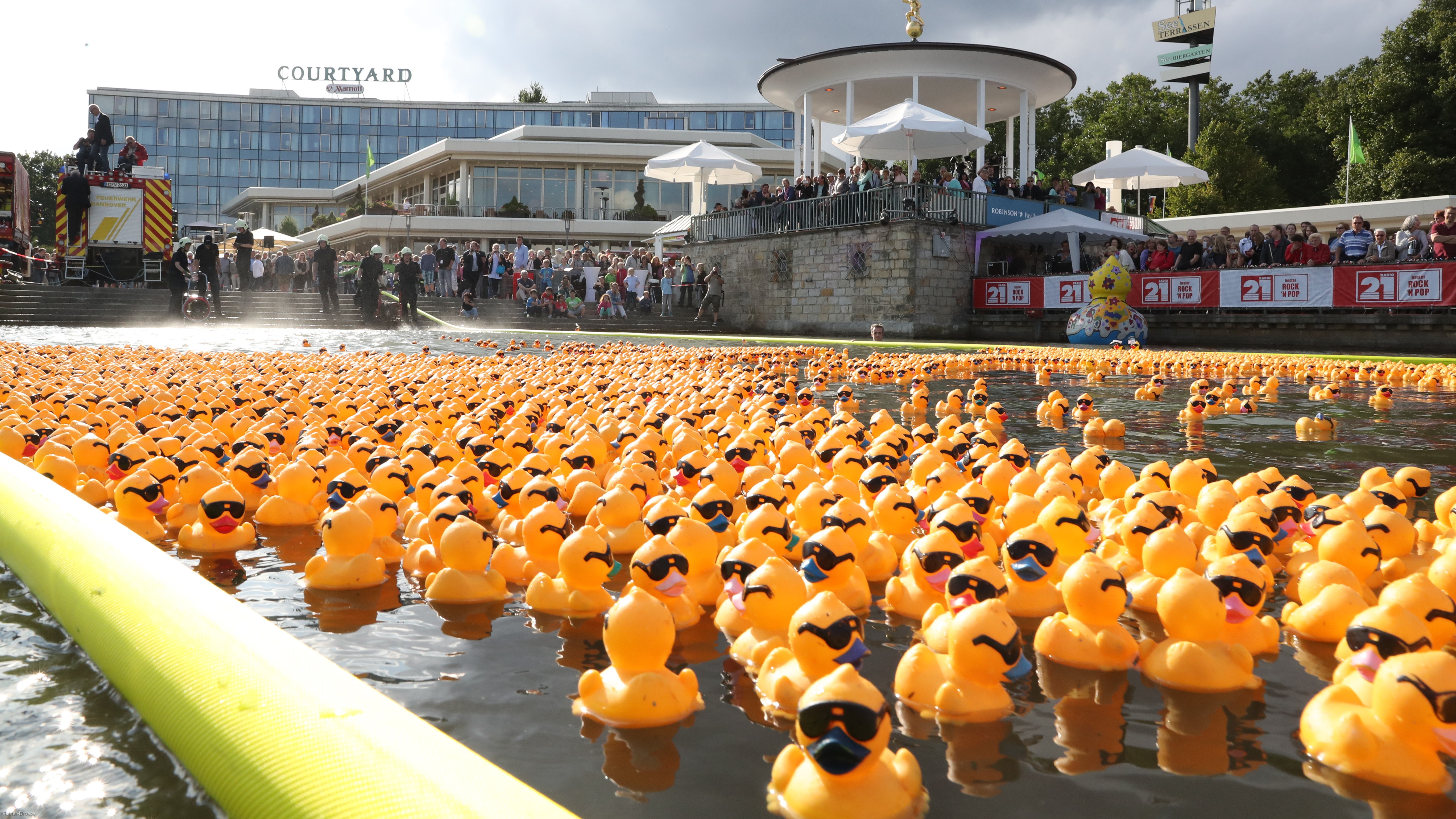 Kleine und große Enten werben am 13. Juli um Unterstützung beim Kampf gegen Blutkrebs. Foto: Rainer Dröse