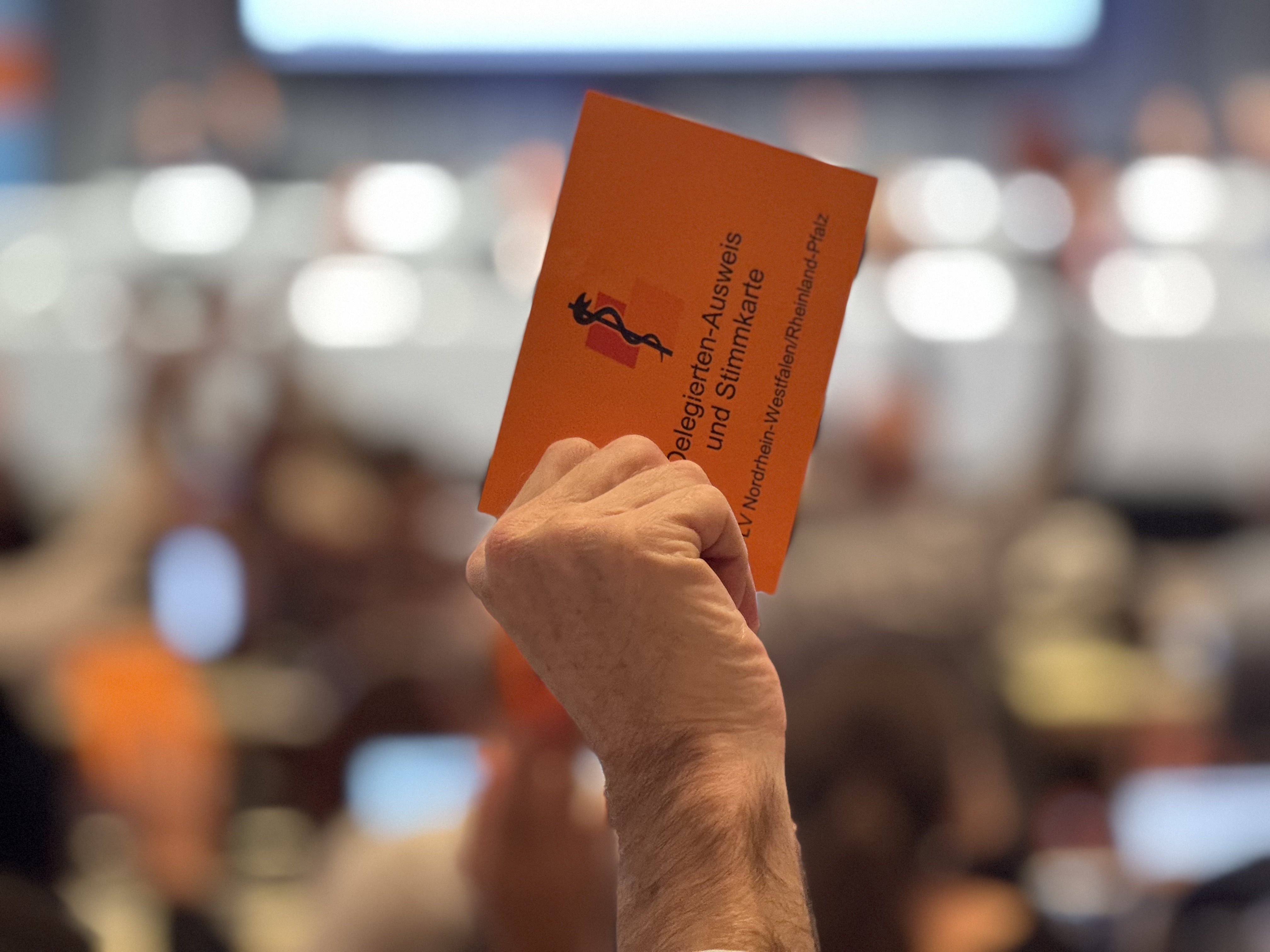 Zahlreiche Anträge aus NRW/RLP standen zur Abstimmung. Das Plenum der 146. Hauptversammlung nahm sie an.