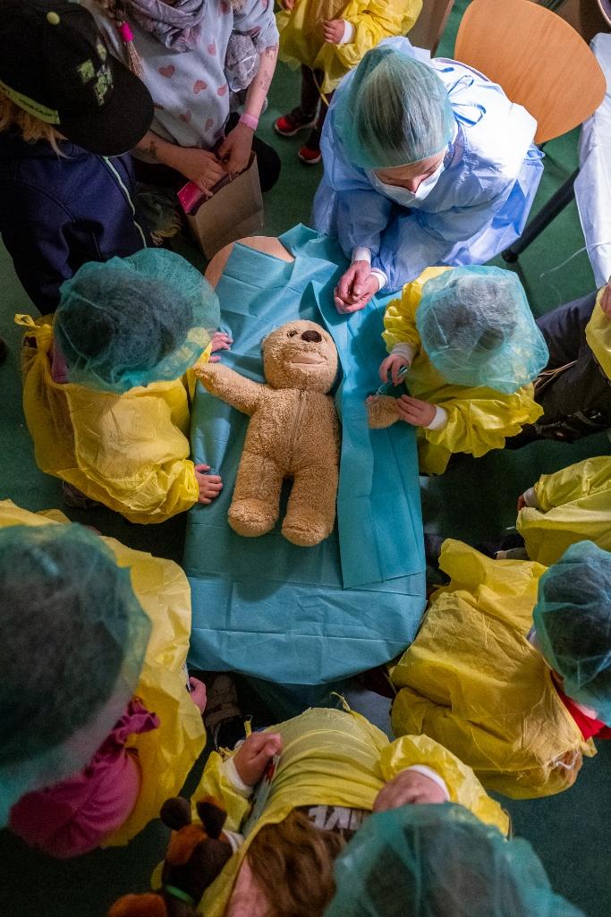 Im Operationssaal musste Teddy Benni aufgrund starker Bauchschmerzen operiert werden. Foto: Universität Oldenburg / Daniel Schmidt