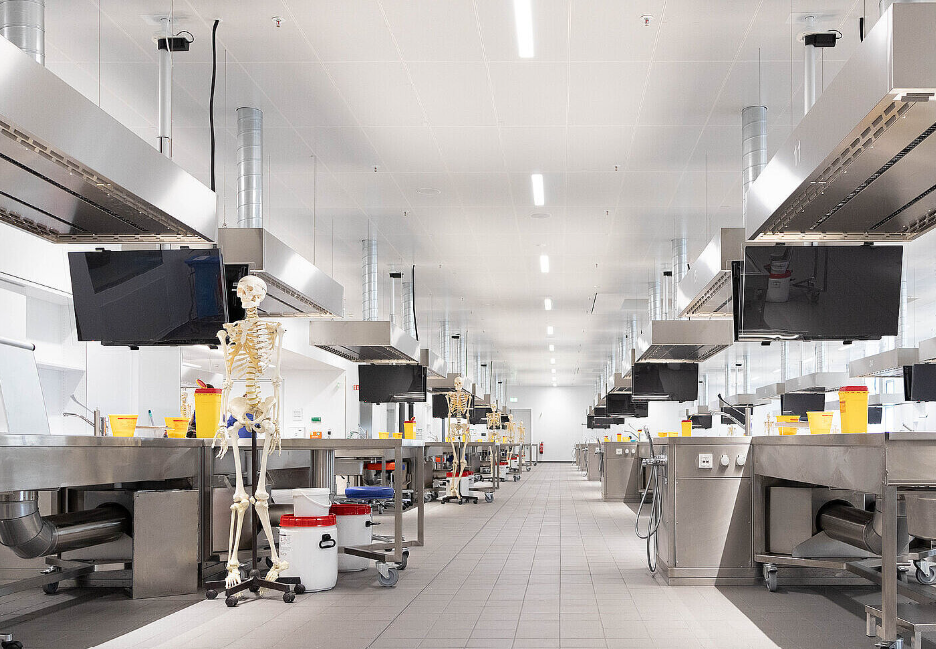 In der Makroskopischen und Mikroskopischen Anatomie wurden exzellente Rahmenbedingungen für eine moderne Aus- und Weiterbildung geschaffen. Im Präpariersaal ist es möglich, gleichzeitig 490 Studierende zu unterrichten. Foto: HHU / Melanie Schrumpf