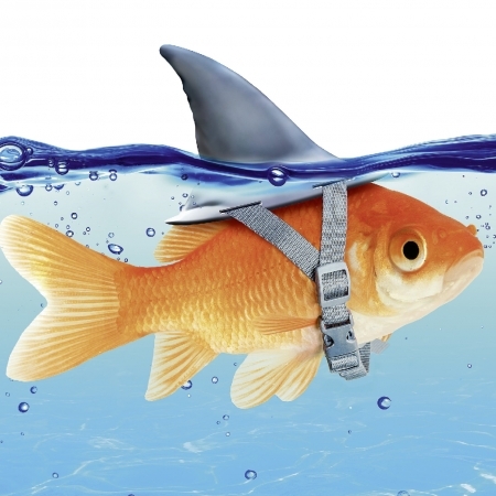 Foto: Romolo Tavani – Fotolia.com