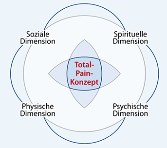 Abb. Total-Pain-Konzept
