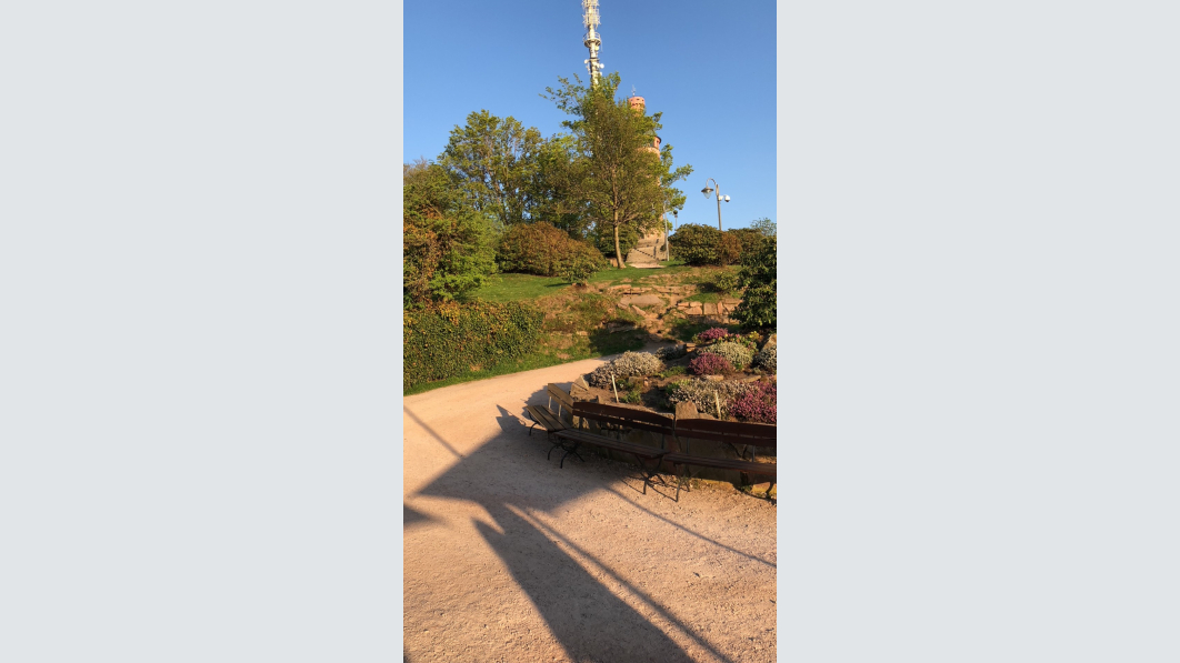 Blick auf den Merkurturm (Foto von Dr. Christoph Janke)