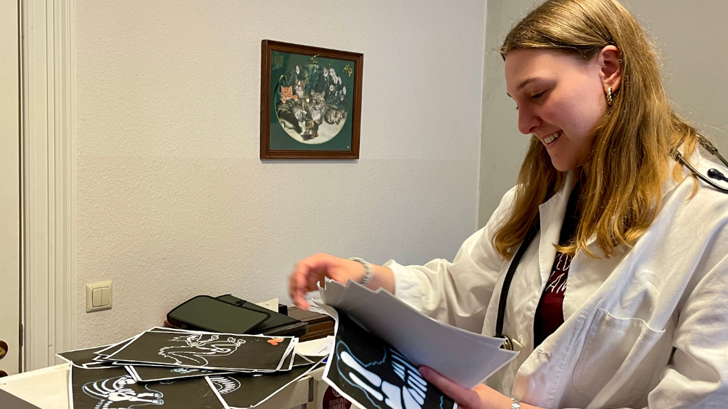 Medizinstudierende engagieren sich ehrenamtlich in der Teddyklinik.