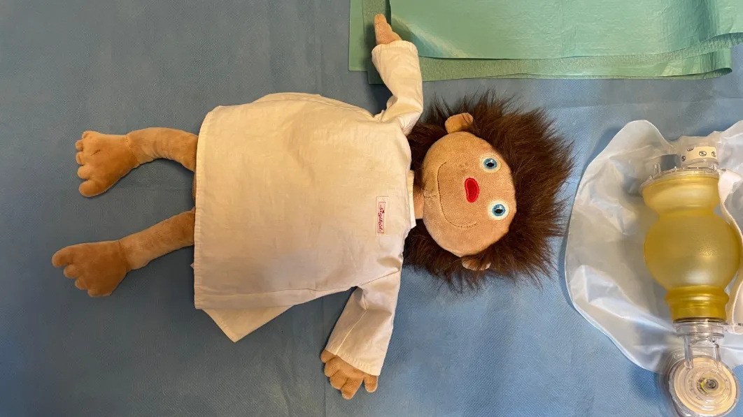 Ein Fall für die Teddyklinik: Die kranke Puppe Sigi