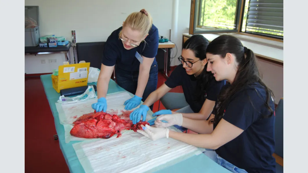 Impressionen vom Bundestreffen der FAFA-Lokalgruppen. Fotos: First Aid For All