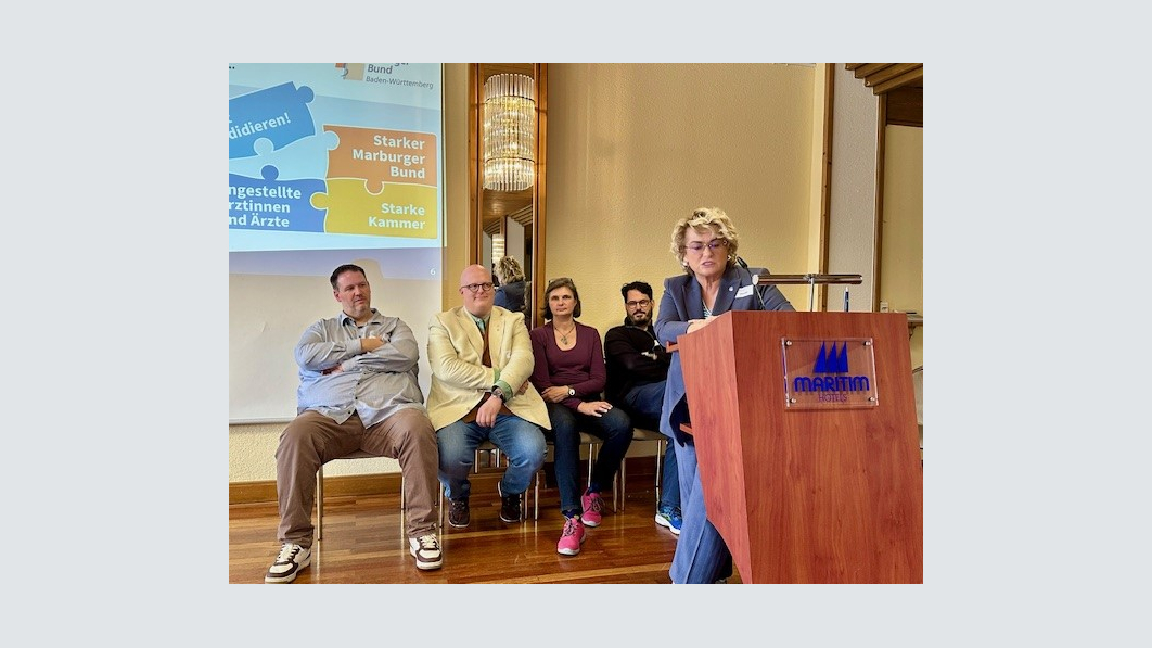 Mitglieder der Arbeitsgruppe Kammerwahl beantworten Fragen der Delegierten zur "Aktivierungskampagne"