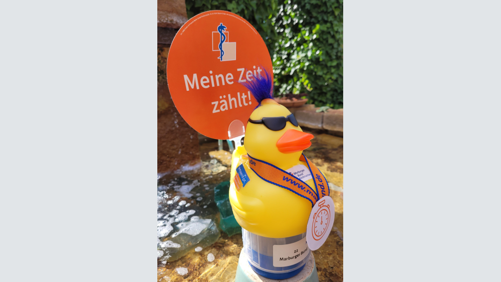 Dr. Fairness geht mit der Startnummer 22 an den Start. Foto: privat