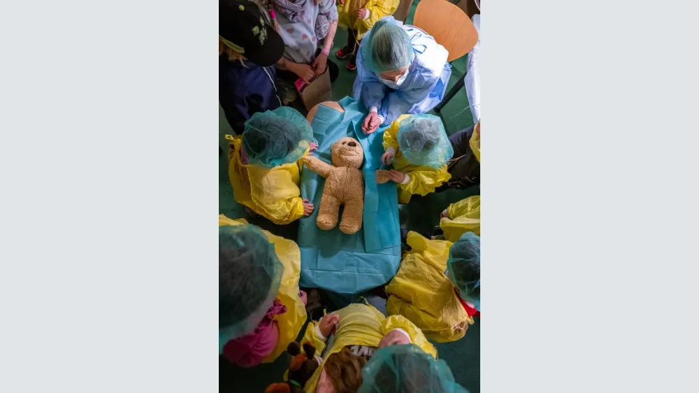 Im Operationssaal musste Teddy Benni aufgrund starker Bauchschmerzen operiert werden. Foto: Universität Oldenburg / Daniel Schmidt