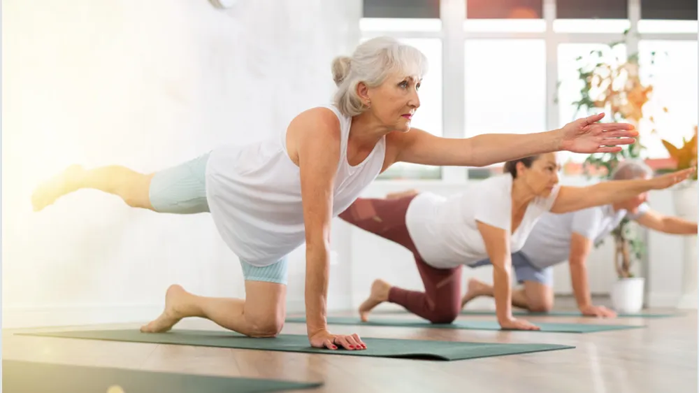 Foto: iStock-1494115736, JackF